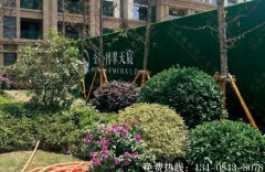 成都地产绿植围挡制作安装